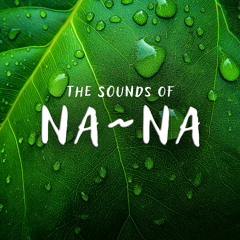 🌍 Organica Mix | The Sounds of Na~Na - Vol.1 | Folktronica Downtempo Nature Music 🌄🧘‍♀️🌌