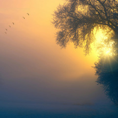 Aether