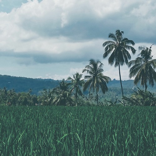 Yong Sagita Bungkung Pasubaye