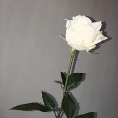 Shorolotar Protima // Cover