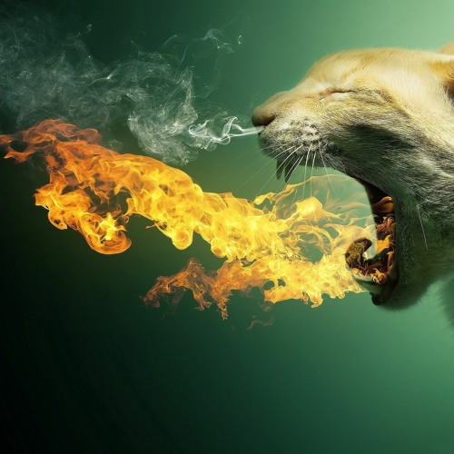 Burning In Side