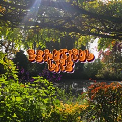 pharha - Beautiful Life (FrenchTouch) {FREE DL}