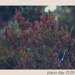 Night sky, blanket | Piano Day 20