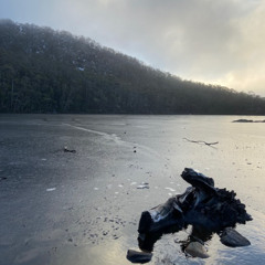 THE HUMMING SONG - ACOUSTIC DEMO