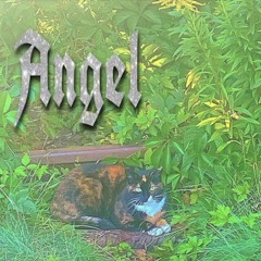 Ljp2900 - Blame It On Myself w/ DA_SLAYERR ❇️✳️🌿  ( prod. secretgarden & true )