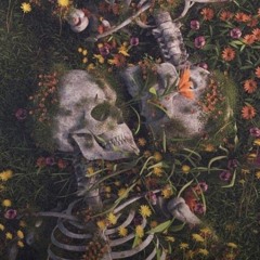 𝕎𝕦𝕓 𝕄𝕖 𝟚 𝔻𝕖𝕒𝕥𝕙