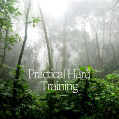 Practical Hard Training