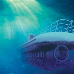 Review Special Price Grand Cayman Shore Excursion Atlantis Submarine Expedition