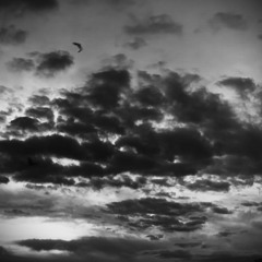 Have I nothing to say