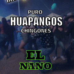 PURO HUAPANGOS CHINGONES 2023