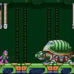 Turtle's Realm