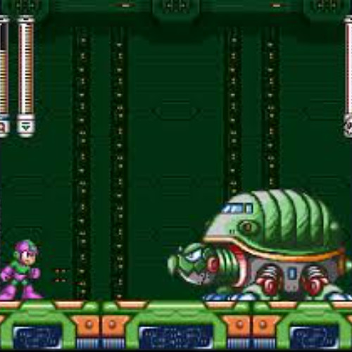 Turtle's Realm
