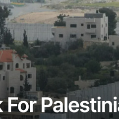 Bleak Outlook for Palestinian Statehood