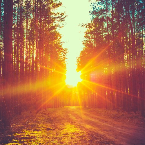 Light And Bright