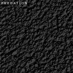 Predation - Black Sands