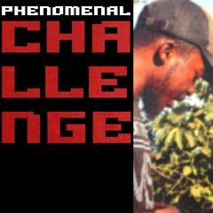 Phenomenal (feat. Praiz 99)