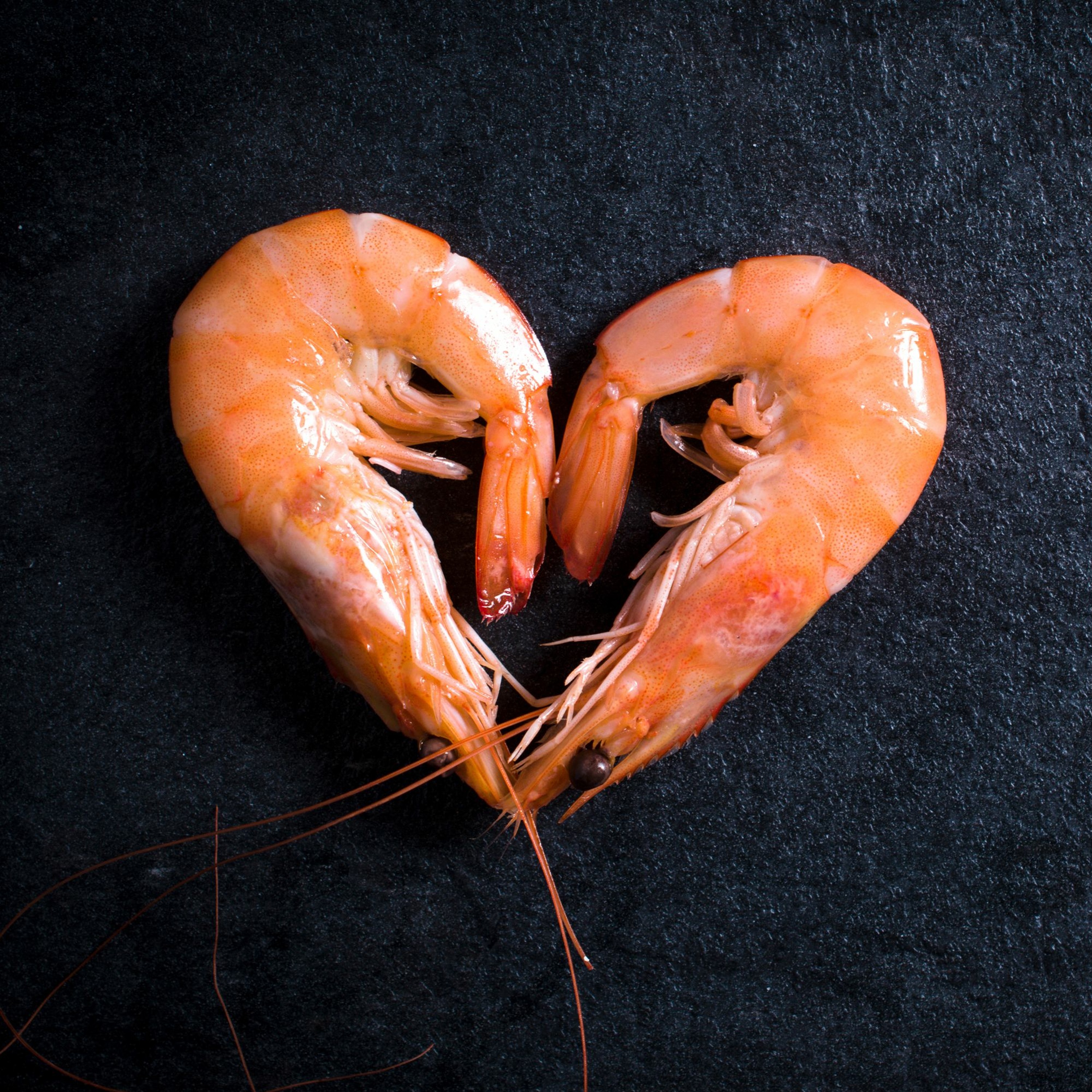 Podquisition 347: Shrimp Are Perfect