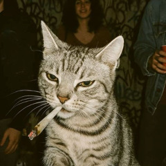 hold on // prod. lloga4