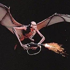 Wired headphones freestyle 6