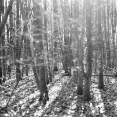 like hours lost in the light of a loved one