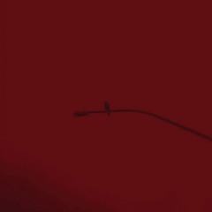 playboi carti - bulletflies (prodbyvic vamp anthem remix)