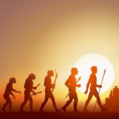 Primitive Change : (single)