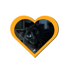 Quinn Quickie Sesh 7