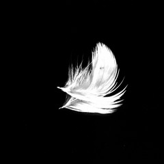 Tremble (preview) (Buy=Free Download)