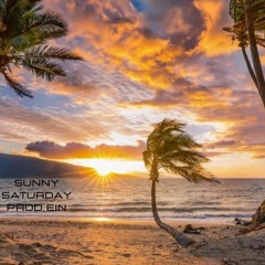 Sunny Saturday - Prod. Ein (2023) 140bpm