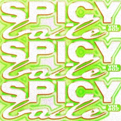 spicy baile vol.2 - live set