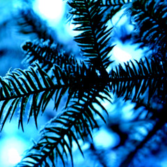 An untitled Christmas Song