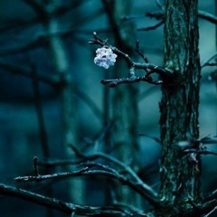 Passing Moments
