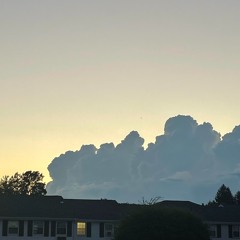 snake snake whale demo inst.