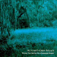 Lost - Autumn’s Grey Solace [Slowed]