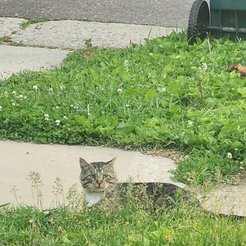 Spring's Promise - Steven Blessinger.mp3