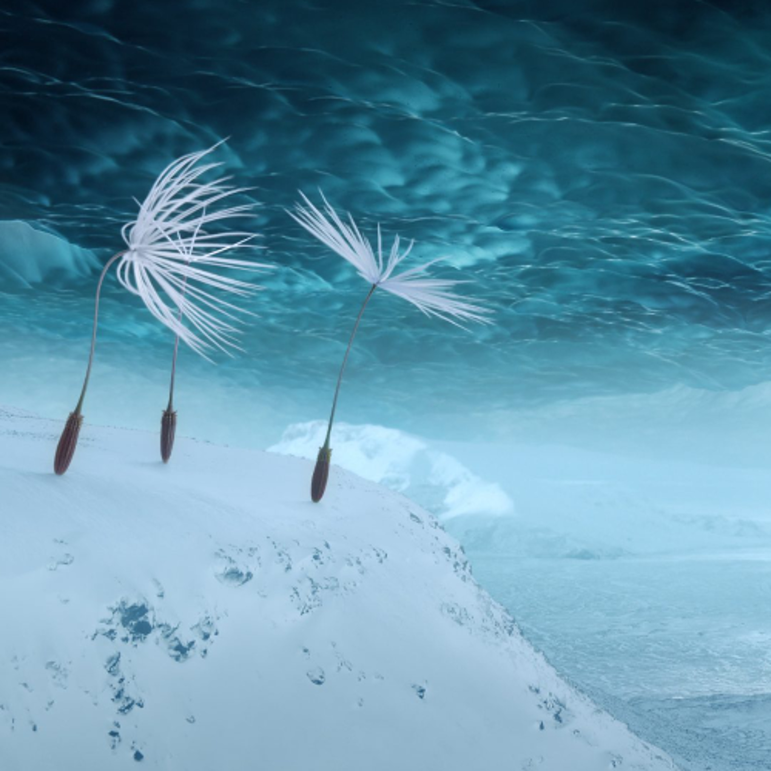 [LE MIROIR] Episode 34 - A qui s'adressent les films ? episode artwork