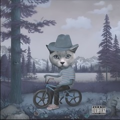 Cowboy - Tyler The Creator (original version)