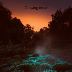 Glowing moss