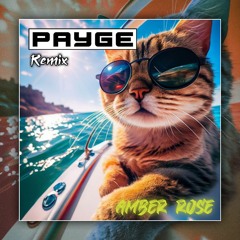 Amber Rose (Payge Remix) 2023 .mp3