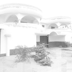 8 - Seydou Boro, Salia Sanou – Weeleni, L'appel Cie Salia Nï Seydou