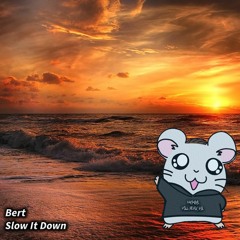 Bert - Slow It Down