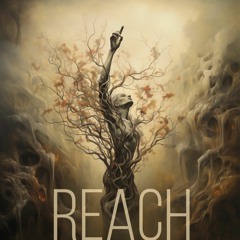 Reach (naviarhaiku511)