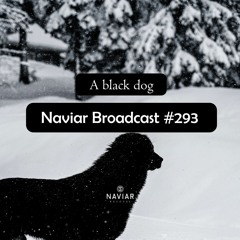 Naviar Broadcast #293 – a black dog – Wednesday 15th November 2023