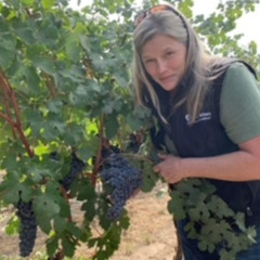 #179 Adrice Wines - Pam Adkins