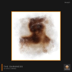 The Darkness (Original Mix)