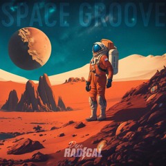 Disco Radical - Space Groove