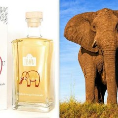 Gin from Elephant Waste + English tips