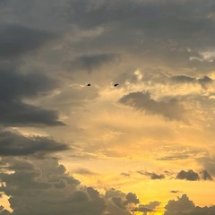 This Is The Life | rmx