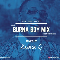 100% Burna Boy Mix (20MinDopaMineMix)