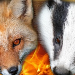 Fox&Badge 4 - Music by the F&B FAMily
